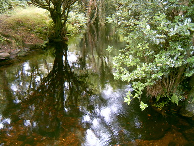 La rivière de Glendalough (30 juillet 2005)