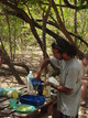  Guy notre guide s’active pour la préparation du planteur (Mangrove de Petit-Canal, 27 mars 2006)