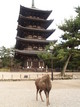  Daim et pagode (Nara, 10 décembre 2006)