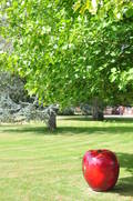  Pomme, jardin du château de Vascoeuil (18 août 2009)