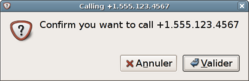 Screenshot of the dialog asking confirmation for the call