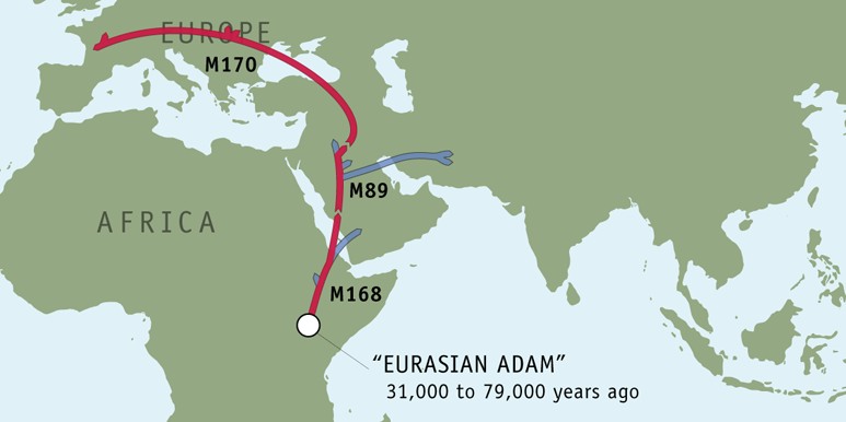 La carte de migration de mes ancêtres, tracées d'après les mutations de mon chromosome Y