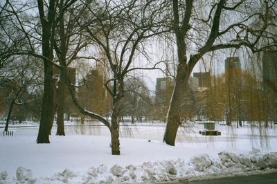Vue sur l’étang gelé de Public Garden, Boston (02/2001)