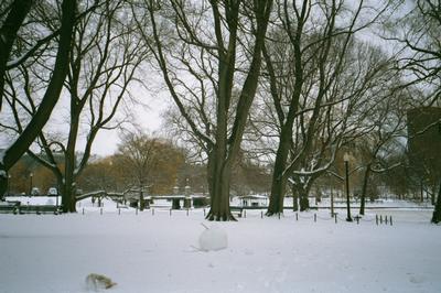 Vue de Boston sous la neige (02/2001)