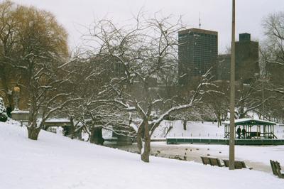 Vue sur le Public Garden enneigé (02/2001)