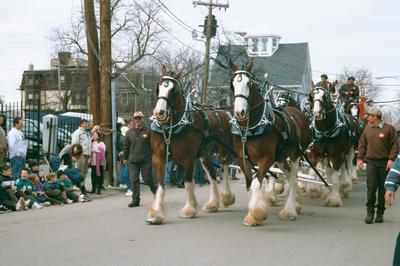 Ben ouais, des chevaux, quoi… (17 mars 2001)