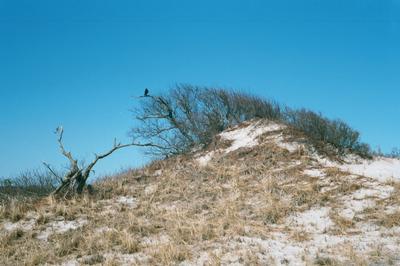 Une dune de Surf-side Beach, à Nantucket (16 avril 2001)