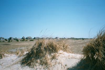 Vue sur une étendue de dunes à Nantucket (16 avril 2001)