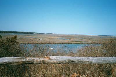 Vue sur les marais Cape Codiens (16 avril 2001)