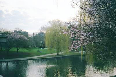 Vue sur le public garden en fleurs