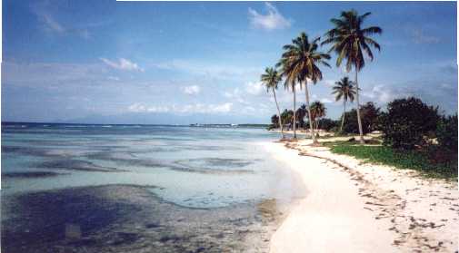 Une plage pres de Sainte-Anne