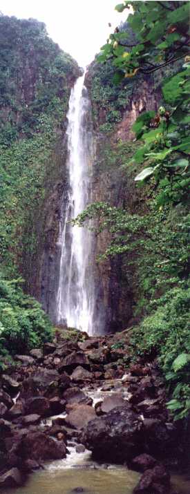 La troisieme chute du Carbet