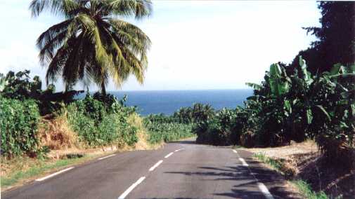Vue sur une route de Basse-Terre