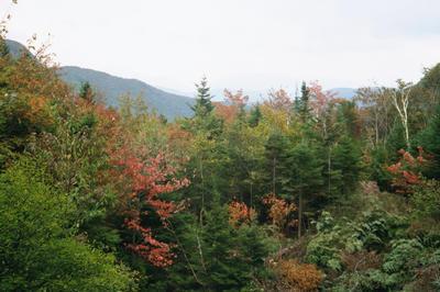 Les premiers feuillages d’automne (Lost River NH, 2001/09/22)