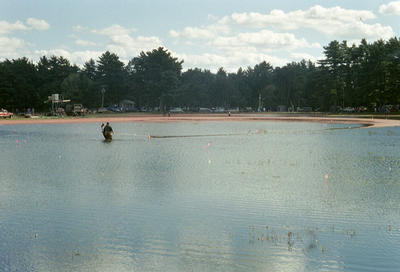 La récolte des canneberges (Massachussets USA, 2001/10/07)