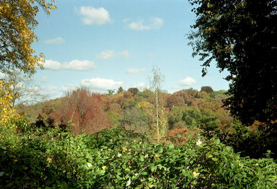 Vue sur l’arboretum (Boston MA, 2001/10/27)