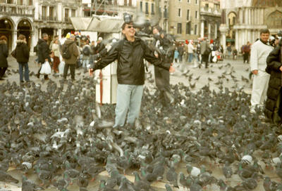 Pigeons vénitiens (Venise, Italie, 2001/11/13-15)