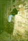 Dom sur une chaise haute de Besalu (Besalu, Espagne, 30 décembre 2001)