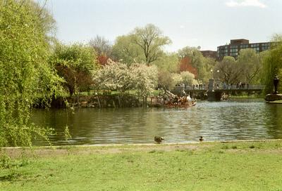 Public Garden (Boston, MA, 27 Avril 2002)