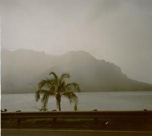 Reliefs sous la brume, (île d’Oahu, Hawaï, 3 Mai 2002)