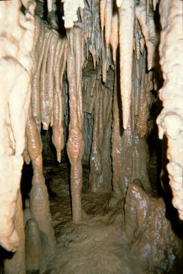 Stalactites (Grotte de Trabuc, Anduze, 29 Juin 2002)