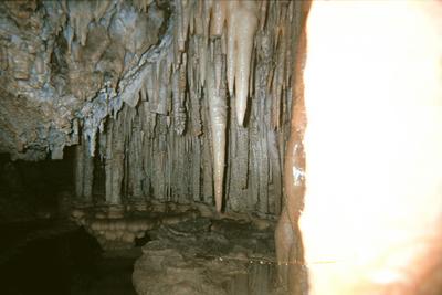 Stalactites (Grotte de Trabuc, Anduze, 29 Juin 2002)