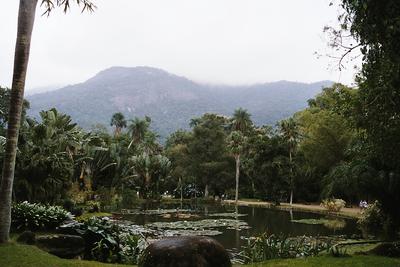 Photo de l’étang du Jardin Botanique