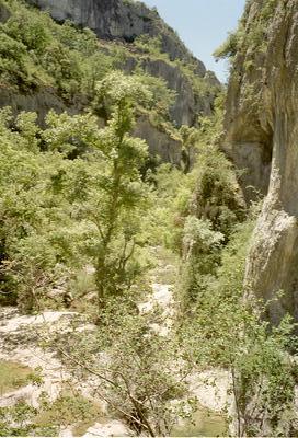 Au fond du Canyon d’Oppedette (Luberon, 9 Juin 2002)