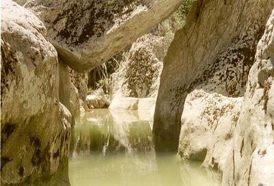 Petit coin de fraîcheur au fond du Canyon (Luberon, 9 Juin 2002)