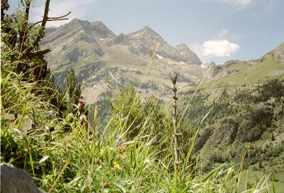 En route vers le cirque de Gavarnie (Hautes-Pyrénées, 14 Août 2002)