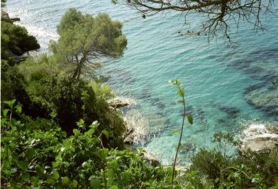 Bord de mer dans les jardins du domaine de Rayol (Rayol, 2 Octobre 2002)