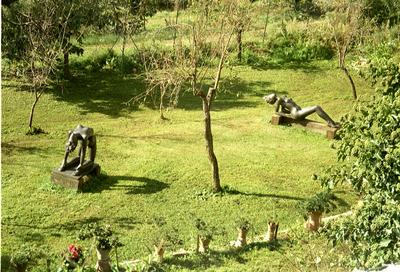 Bronzages d’un jardin toscan (Florence, Italie, 27 Octobre 2002)