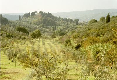 Aperçu de la campagne toscane (Florence, Italie, 27 Octobre 2002)