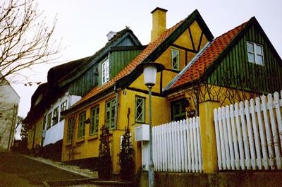 Maisons aux abords du Centre Vicking (Røskilde, 22 Février 2003)