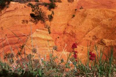 Sur le sentier des ocres (Roussillon, 4 Mai 2003)