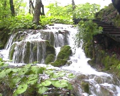 Lacs en cascade du Parc de Plitvice (29 Juin 2003)