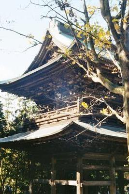 Portail des temples d’Engakuji (Kamakura, Japon, 16 Novembre 2003)