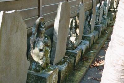 Allée de Bouddhas aux temples de Kenchoji (Kamakura, Japon, 16 Novembre 2003)