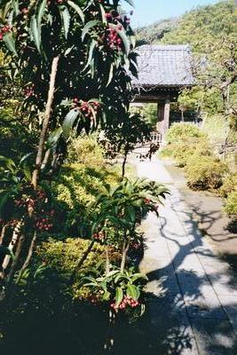 Temple de Kenchoji (Kamakura, Japon, 16 Novembre 2003)