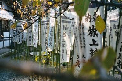 Bannières aux temples d’Hachimangu(Kamakura, Japon, 16 Novembre 2003)