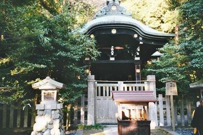 Temple d’Hachimangu (Kamakura, Japon, 16 Novembre 2003)