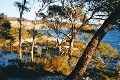 Calanque de Port d’Alon (Var, 14 Décembre 2003)