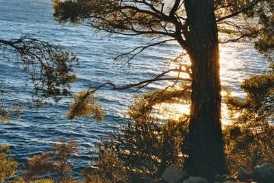 Coucher de soleil à la calanque de Port d’Alon (Var, 14 Décembre 2003)