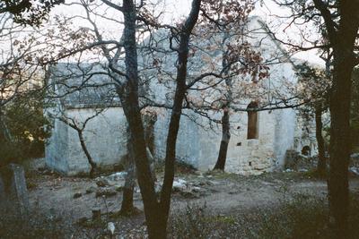 La Chapelle en ruine de Saint-Anne de Goiron (8 Février 2004)