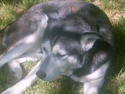 Marco (Tour Béline, 1er Mai 2004)