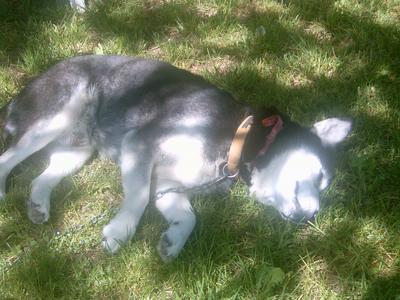 Marco (Tour Béline, 1er Mai 2004)