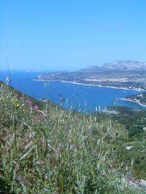 La baie de Cassis (route des crêtes Cassis-La Ciotat, 20 Mai 2004)