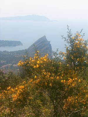 La baie de la Ciotat (route des crêtes Cassis-La Ciotat, 20 Mai 2004)