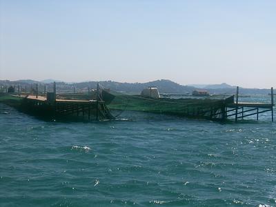 Parc à moules dans la baie du Lazaret (La Seyne sur Mer, 3 Juillet 2004)