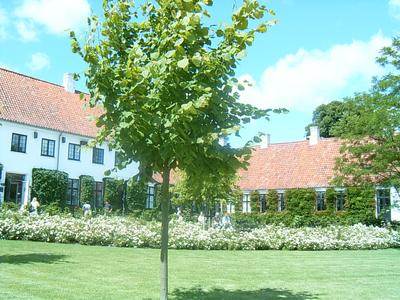 Karen Blixen Museum (Rungsted Kyst, Danemark, 16 Juillet 2004)